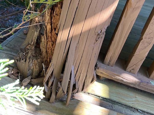 Log home restoration in Seaboard, NC