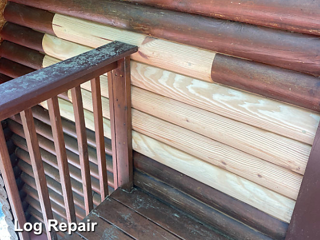 Log home restoration in Lexington, NC